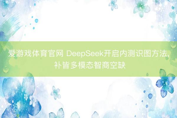 爱游戏体育官网 DeepSeek开启内测识图方法, 补皆多模态智商空缺